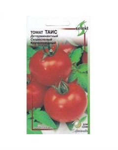Семена Томат Таис Сспп сортс