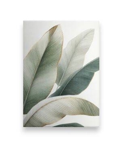 Картина на холсте PosterMarket Зеленые листья 1, 50х70 см Тд постерм