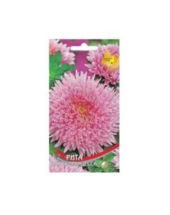 Семена Астра Принцесса Рита Сспп сортс