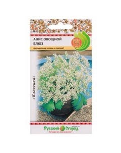 Семена Анис овощной Блюз Семена нк