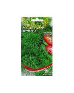 Семена Укроп Вологодские кружева Сспп сортс