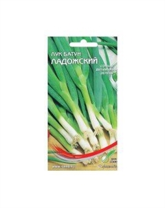 Семена Лук батун Ладожский Сспп сортс