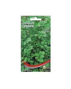 Семена Кориандр Пикник Сспп сортс