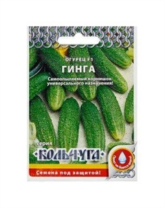 Семена Огурец Гинга F1 Семена нк
