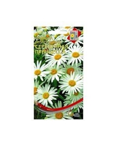 Семена Ромашка многолетняя низкорослая Серебряная Принцесса Сспп сортс