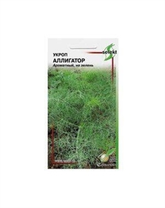 Семена Укроп Аллигатор Сспп сортс