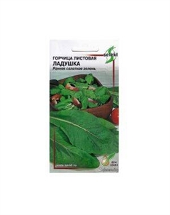 Семена Горчица салатная Ладушка Сспп сортс