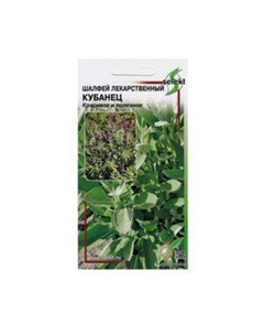 Семена Шалфей лекарственный Кубанец Сспп сортс