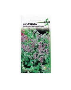 Семена Мята Радуга Сспп сортс