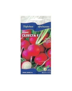 Семена Редис Селеста F1 Сспп сортс
