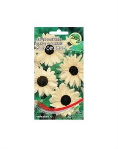 Семена Подсолнечник декоративный кремово-белый Мороженое Сспп сортс