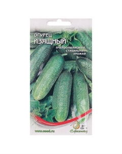 Семена Огурец Изящный Сортсемово