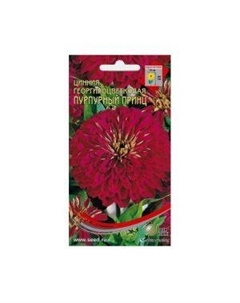 Семена Цинния Пурпурный принц Сспп сортс