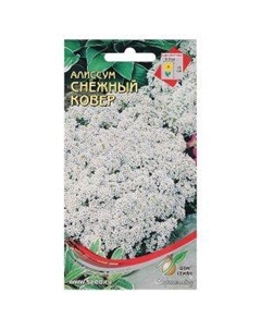 Семена Алиссум Снежный ковер Сортсемово