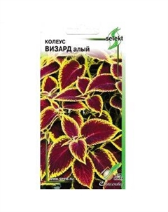 Семена Колеус Визард алый Сспп сортс