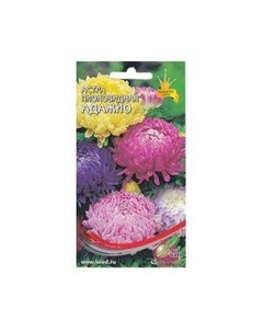Семена Астра пионовидная Адажио, смесь Сортсемово