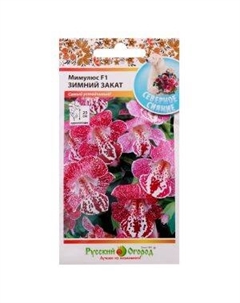 Семена Мимулюс Зимний закат Семена нк