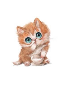 Картина на холсте Рыжий котенок, 40х40 см Тд постерм