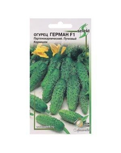Семена Огурец Герман F1 Сортсемово