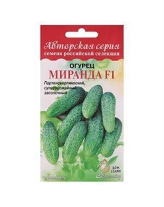 Семена огурец Миранда F1 Сортсемово