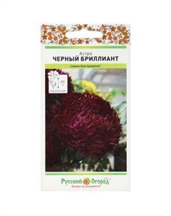 Семена Астра Черный бриллиант, 50 шт Семена нк