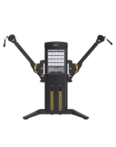 Двойная регулируемая тяга BW-1006 Bronze gym