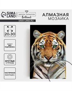 Алмазная мозаика с частичным заполнением Школа талантов