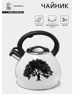 Чайник magic forest, 3 л, со свистком, с индикатором нагрева, индукция, нержавеющая сталь, белый Доляна