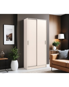 Шкаф-купе 2-х дверный Терра СБ-2545 Столплит