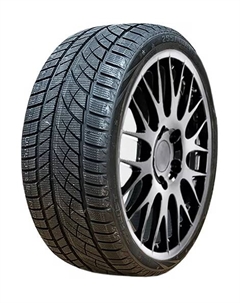Шины 205/45 R17 Frost WU01 88H XL Roadx