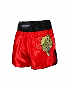 Шорты Fight empire