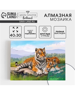 Алмазная мозаика с полным заполнением на холсте Школа талантов