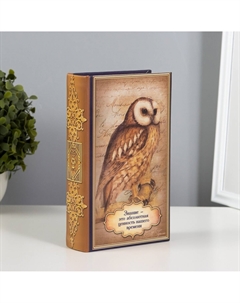 Шкатулка книга-сейф Nobrand