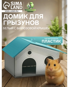 Домик для грызунов сборный Пижон