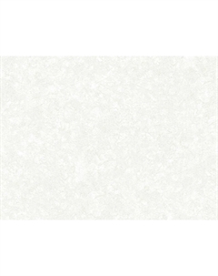 Обои бумажные гофрированные 10,05х0,53м, арт.С14 ф790-04 Нет марки