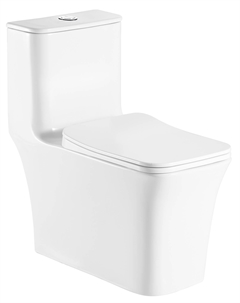 Унитаз-моноблок напольный Gressa AZ-1111-G безободковый, с крышкой микролифт, белый Azario