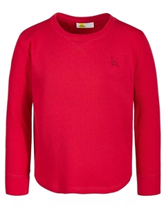 Термальная футболка вафельной вязки с длинными рукавами и вышивкой динозавра для маленьких мальчиков, красный Epic threads