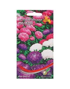 Семена Астра карликовая Миледи смесь Сортсемово