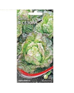 Салат Чудо 4-х сезонов Сортсемово