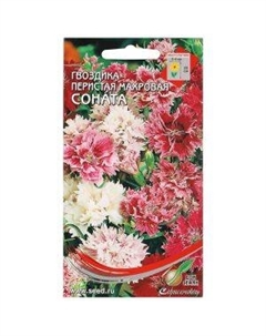 Семена Гвоздика перистая махровая Соната Сортсемово