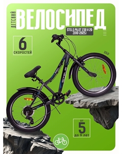 Детский велосипед Pilot 230 V 20 Z010, год 2025, цвет Серый Stels