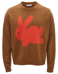 Джемпер с принтом, коричневый Jw anderson