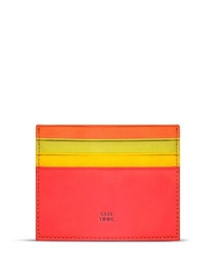 Разноцветная женская визитница Case look