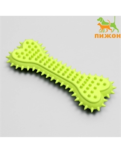 Игрушка жевательная литая Пижон