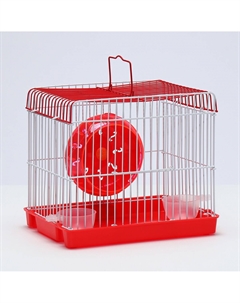 Клетка для грызунов укомплектованная rt-2q, 22 х 16 х 20 см, красная Пижон