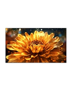 Телевизор TCL 65J7E Pro-J, 65", 4K, LED, 120 Гц, черный Tcl