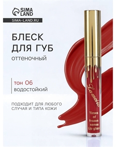 Блеск для губ оттеночный, водостойкий, 6.5 г, оттенок №6 Nobrand