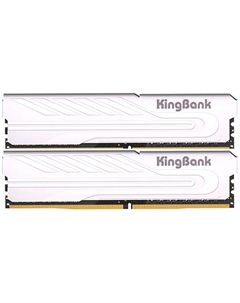 Оперативная память Kingbank DDR4 32GB (2x16Gb) 3200MHz Silver (K5.01.FP049D9203)