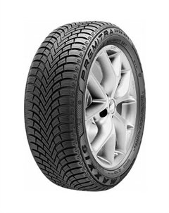 Шины 205/50 R17 Premitra Snow WP6 93V XL Maxxis