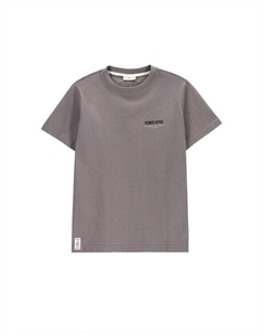 Футболка обычного кроя WC5143206VBB, серый Coccodrillo